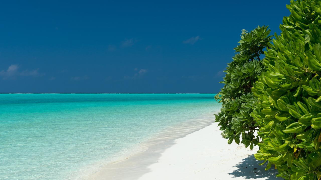 Thoddoo Beach Holiday Buitenkant foto