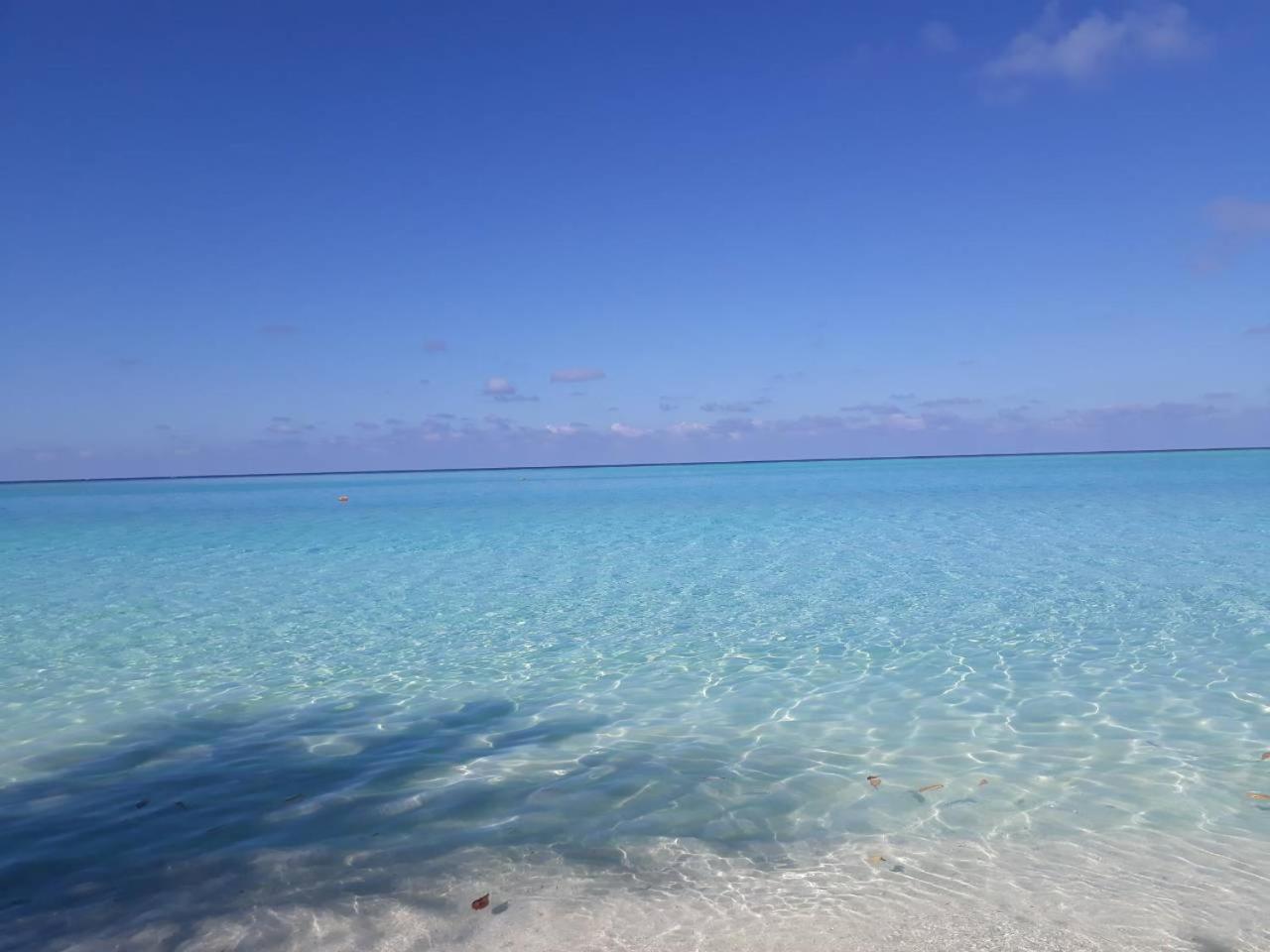 Thoddoo Beach Holiday Buitenkant foto