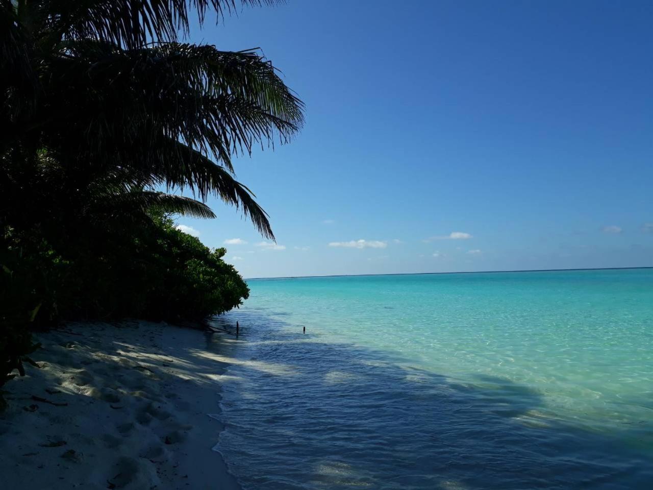 Thoddoo Beach Holiday Buitenkant foto